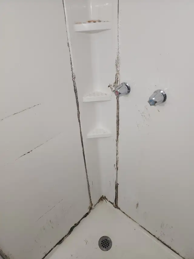 Plumber64578935739139120