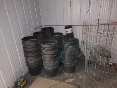 6 gallon plant pots, View more