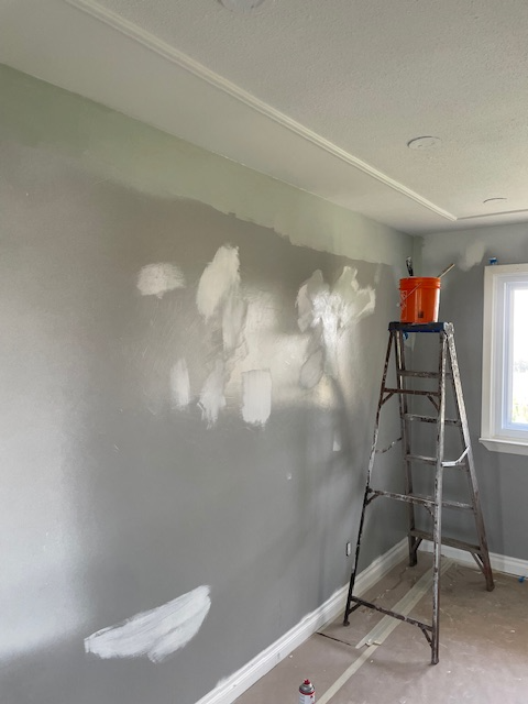 PROFESSIONAL PAINTER553848940780605444