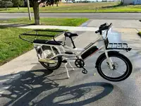 RADWAGON 4 - Cargo Electric Bike