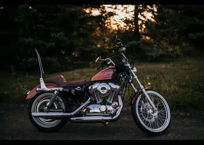Head turning custom orange paint with gold flake, sparkles in the sun like crazy 1200cc Vance and Hi...