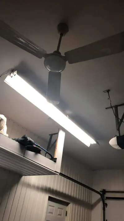 Néons 8 pieds, View more