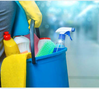 Cleaner/Housekeeper 