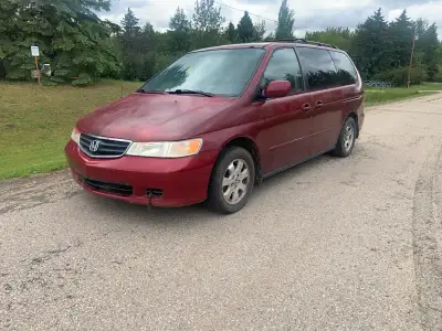 Honda Odyssey for sale.