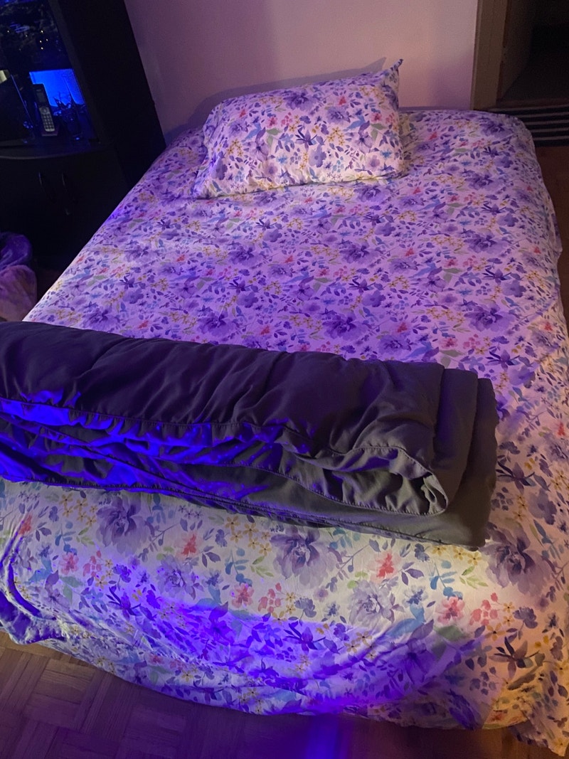 Available 12 august Short Term Rentals City of Toronto Kijiji