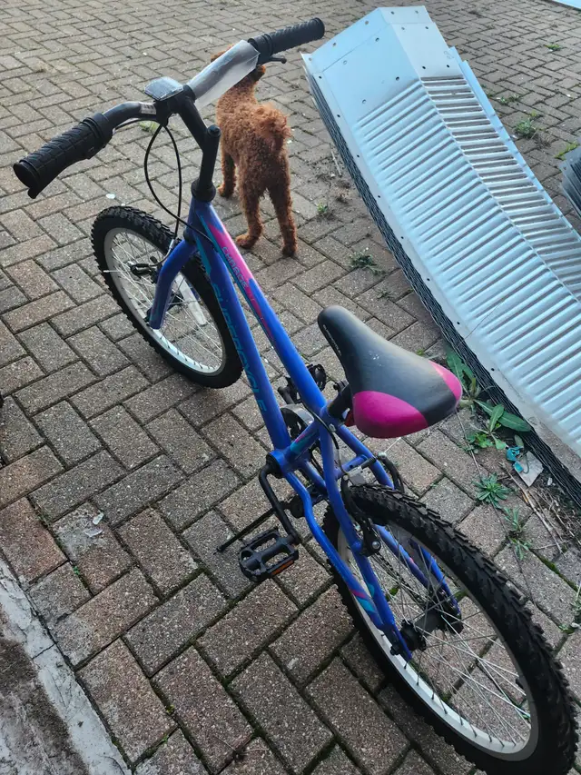 2 Bikes for sale ,Supercycle 20 inch,blue,and Radiate16 inch,bot in Kids in Windsor Region - Image 4