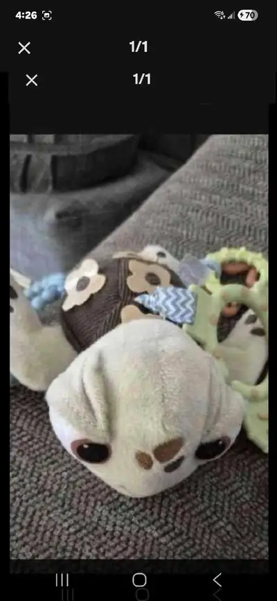 Plush Turtle, View more