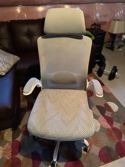 Ergonomic Office Chair with Headrest & Lumbar Support – Like New, View more