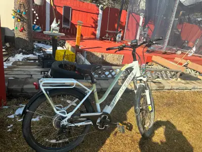 Rook surface 604 Ebike- step thru frame., View more
