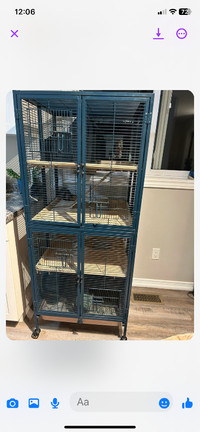 FREE Large rodent cage with 3 female rats