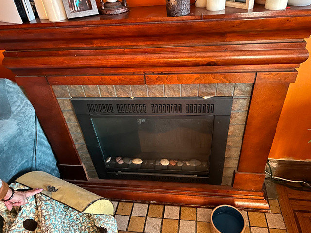ELECTRIC FIREPLACE in Fireplace & Firewood in Hamilton