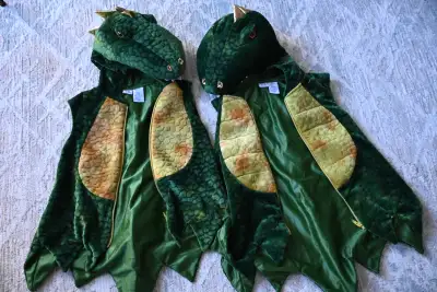 2x Halloween Costumes for Kids (4T and 5T), View more