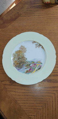 Gorgeous vintage English Shelley  bone china 10 " plate has  a