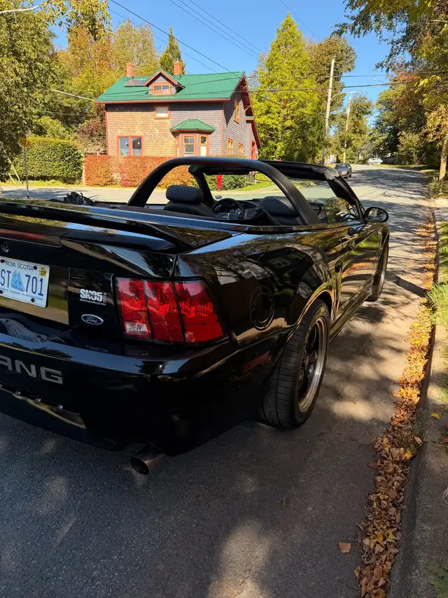 2002 Mustang manual601862351137034248