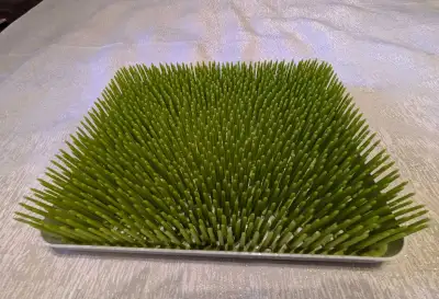 Boon grass drymat, View more