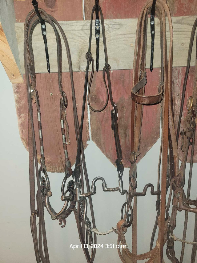 Bridle lot in Equestrian & Livestock Accessories in Medicine Hat