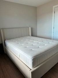Upholstered Storage Bed (Queen)