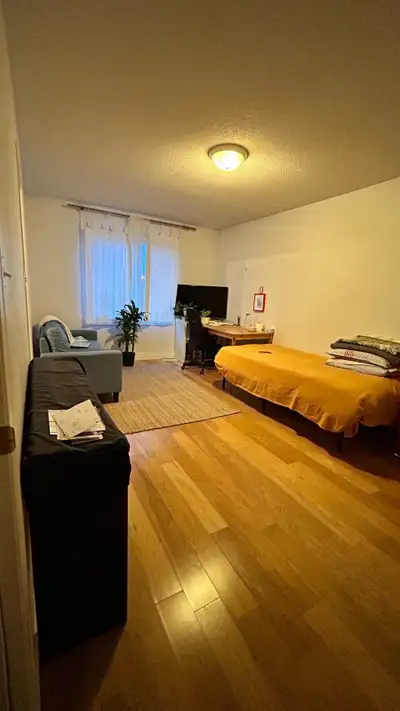 Rent for female master bedroom. It’s 2nd floor large bedroom hardwood floor walk in closet large win...