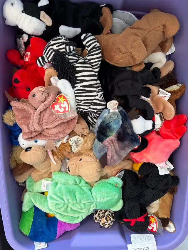 Beanie Babies in Arts & Collectibles in Ottawa - Image 3