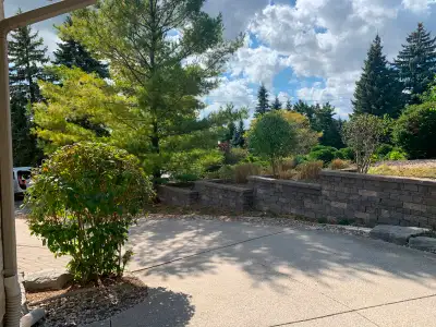 Tree Trimming / Hedge Trimming / Yard Work - Free Quotes, View more