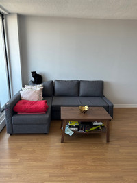 IKEA  sectional sofabed/pullout couch