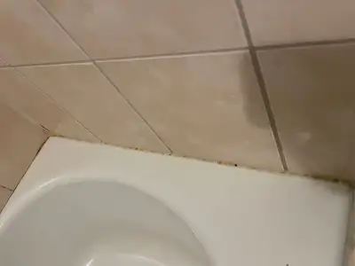 Bathroom & Kitchen Moisture & Surface Cleanup – Toronto, View more