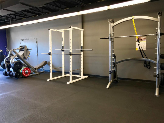 Semi-Private Gym Space Exclusively for Personal Trainers – $10 in Fitness & Personal Trainer in Oakville / Halton Region - Image 2