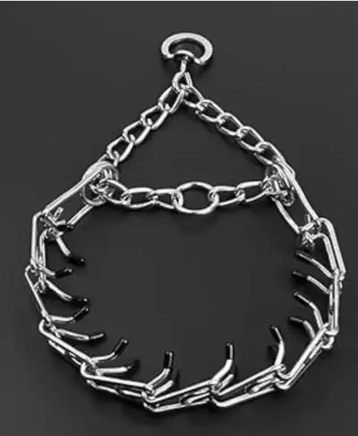 Prong collar for dogs., View more