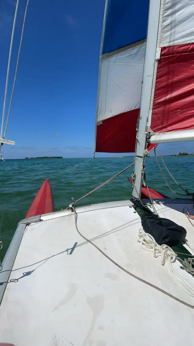 hobie cat 16 w trailer in Sailboats in Owen Sound - Image 4