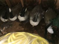 Goose and duck decoys
