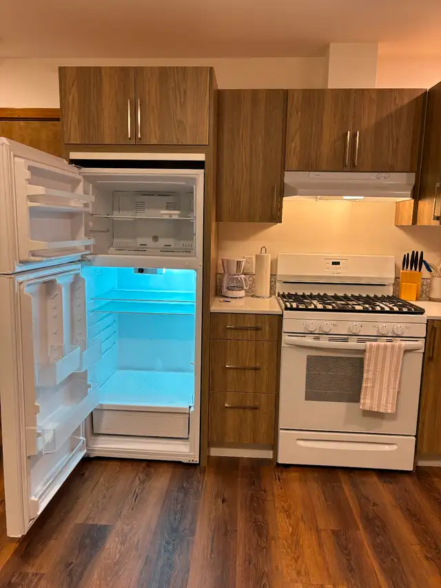 Newly Renovated Modern STUDIO Apt: Top in Long Term Rentals in Prince Rupert - Image 11