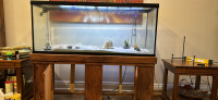 Excellent condition 120 gallon Aquarium with stand and light.