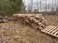 Hardwood Firewood