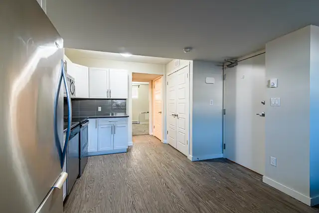 All Utilities Included 1 Bedroom Basement for Rent in Aurora62864373922945123