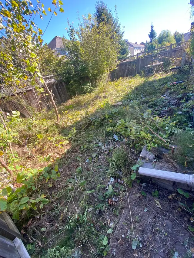 Ottawa Lawn Care Services63234884086529121