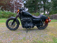 2013 Harley Iron 883