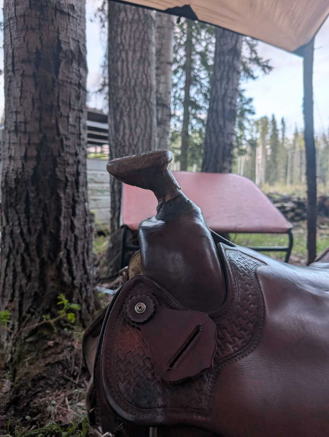15 1/2 inch saddle in Equestrian & Livestock Accessories in St. Albert - Image 2