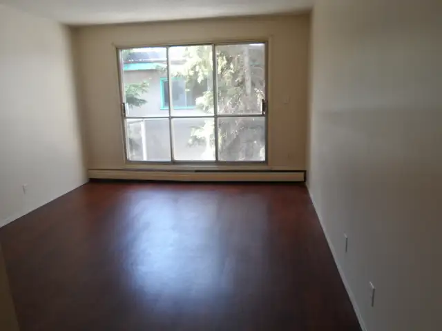 FEBRUARY FREE! A nice and cozy 1-bedroom suite on Whyte ave.