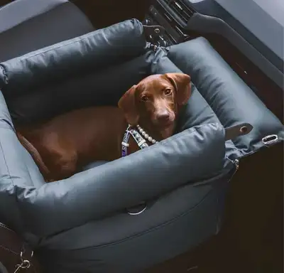 Very cozy and comfortable dog/ pet sofa or search. Dimensions 18x18x13 length× widthx depth. Comes w...