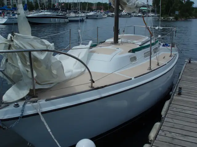 Sailboat in Sailboats in Barrie - Image 3