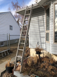  extension ladders $50.00
