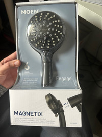 Moen Shower Head