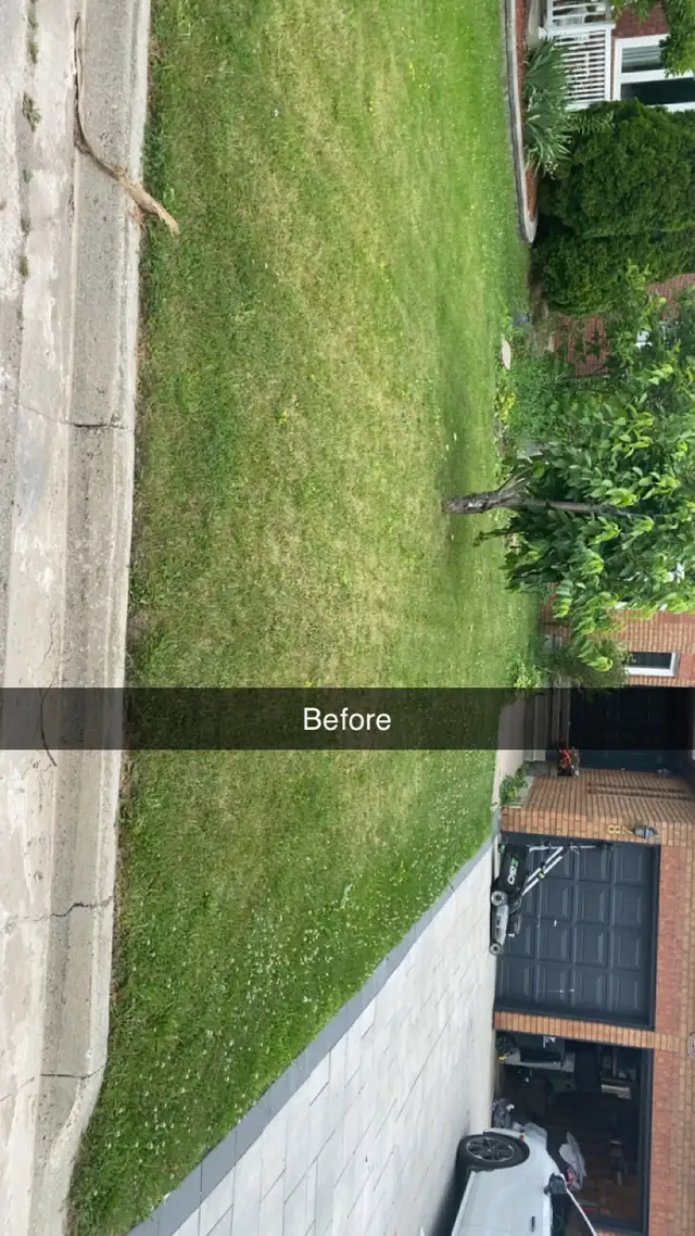 grass cutting and driveway/ deck pressure washing 518065403053352964
