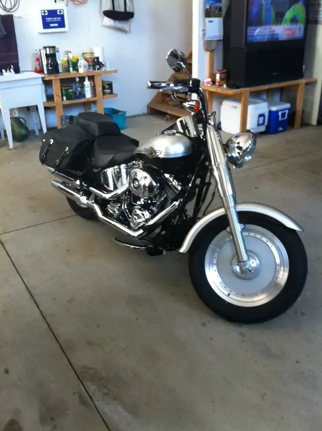 2003 HD Fatboy (100 year anniversary edition) in Street, Cruisers & Choppers in Vernon - Image 5