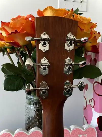 Ibanez Grand Concert Mahogany Acoustic, View more