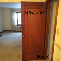 Antique Gum Wood Door Set of 4 - Half Lite, 1-Panel