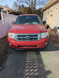 2011 Ford Escape xlt