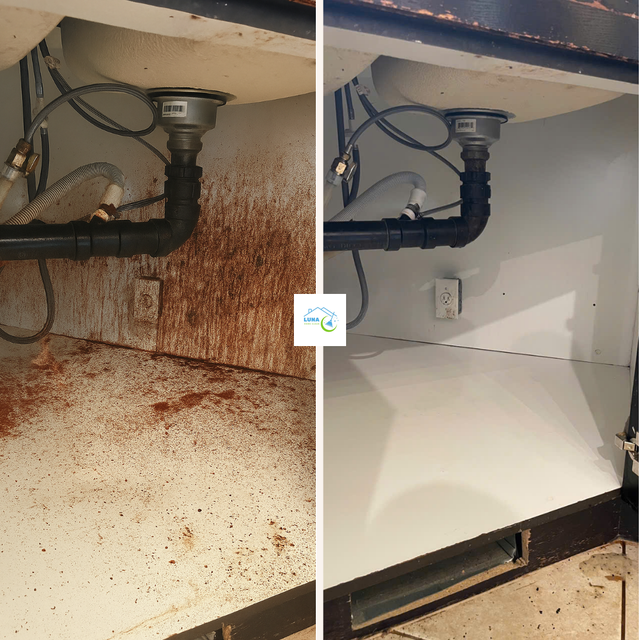 $35/hr House Cleaning | 15+ Years Experience | Eco-Friendly Prod in Cleaners & Cleaning in Calgary - Image 5