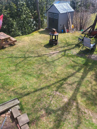 LAWN SERVICE+ SPRING CLEAN UP SACKVILLE AREA!