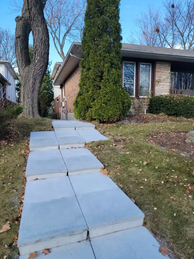 Spacious Bachelor Suite with Walk-Out to Backyard and Large Kitc